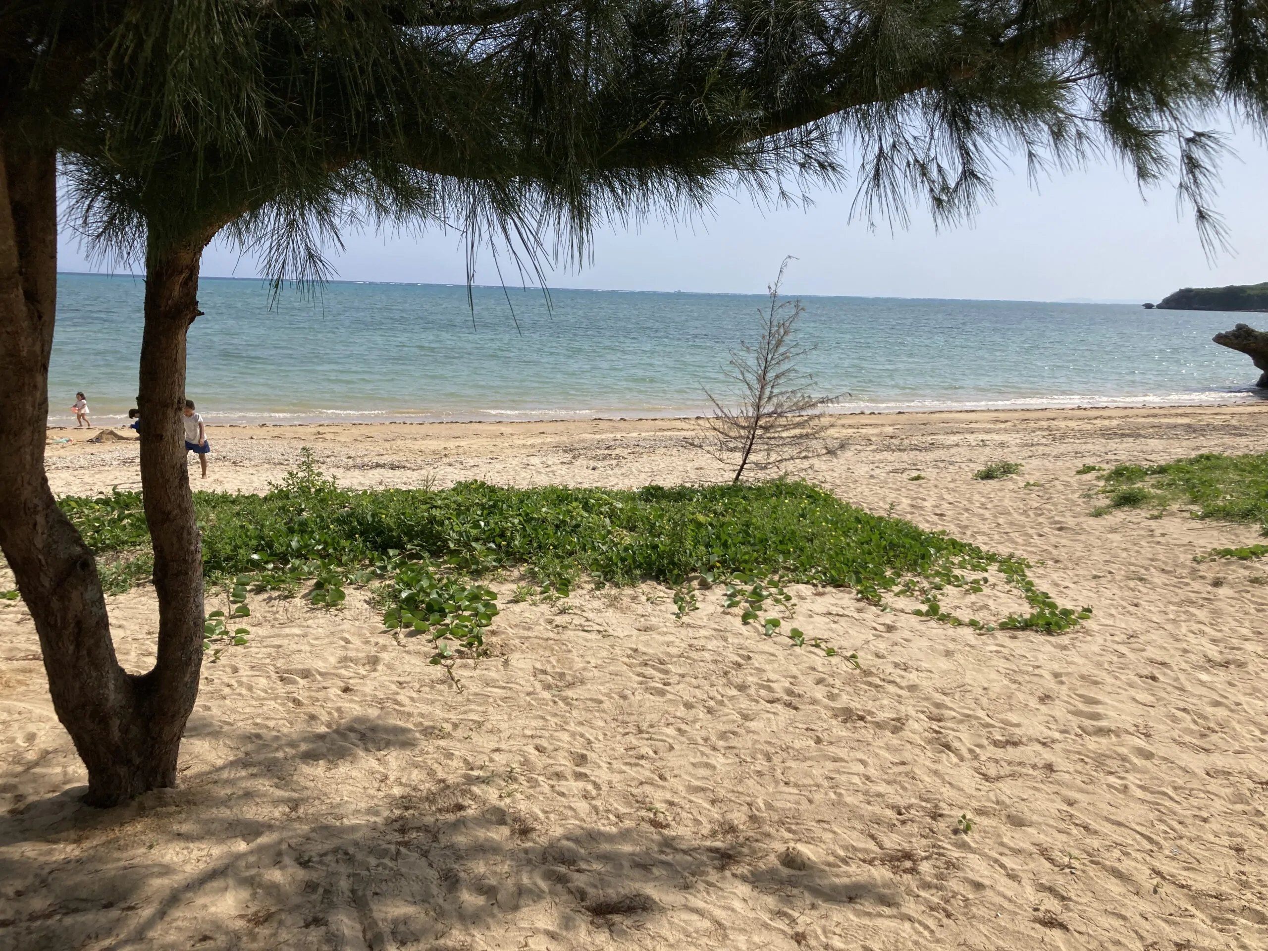 Gapang Beach: casuarina trees over the sand, calm turquoise water, children playing at the water's edge.